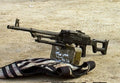 Pkm 8 A4 Photo Print