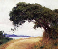 Point Lobos Oak Tree A4 Photo Print