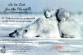 Polar Bears Arctic 1990s Vintage Retro Advert