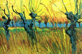 Pollard Willows With Setting Sun Detail 1888 A4 Photo Print