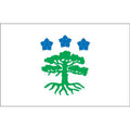 Polva Vald Flag N2816 A4 Photo Print