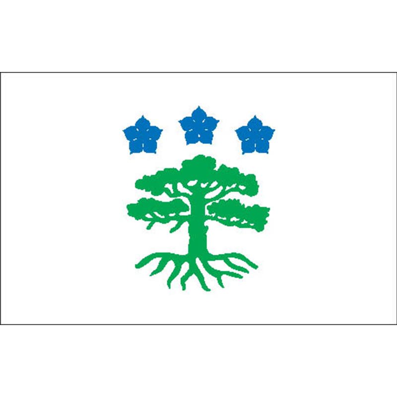Polva Vald Flag N2816 A4 Photo Print