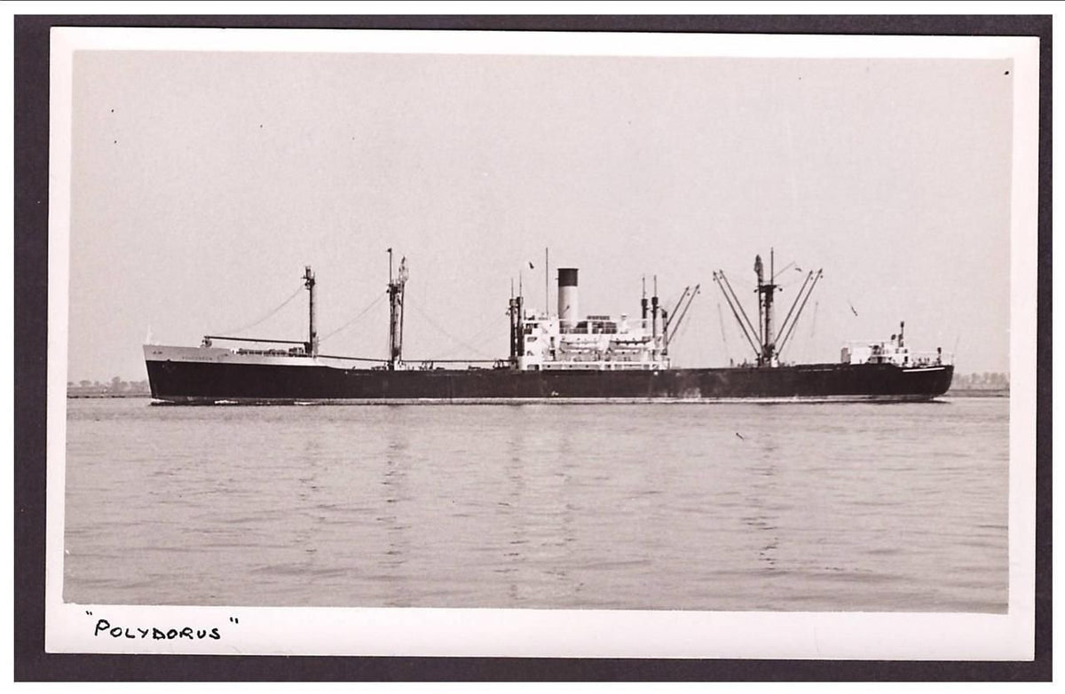 Polydorus Blue Funnel Line 1944 Steam ship A4 Photo Print