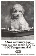 Poodle Cushion Car 1990s Vintage Retro Advert