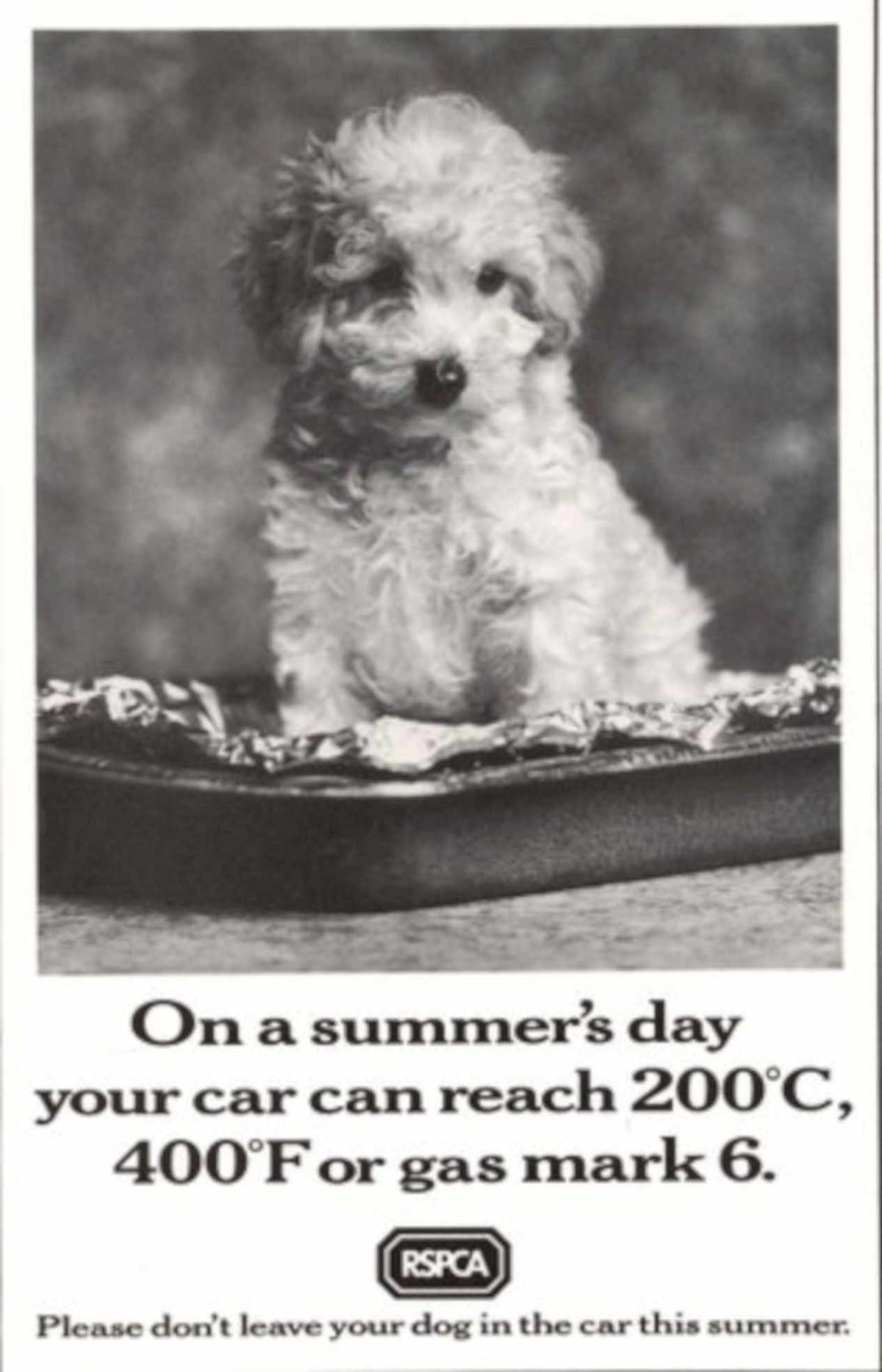 Poodle Cushion Car 1990s Vintage Retro Advert