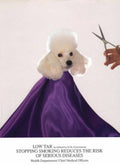 Poodle Grooming Studio 1990s Vintage Retro Advert