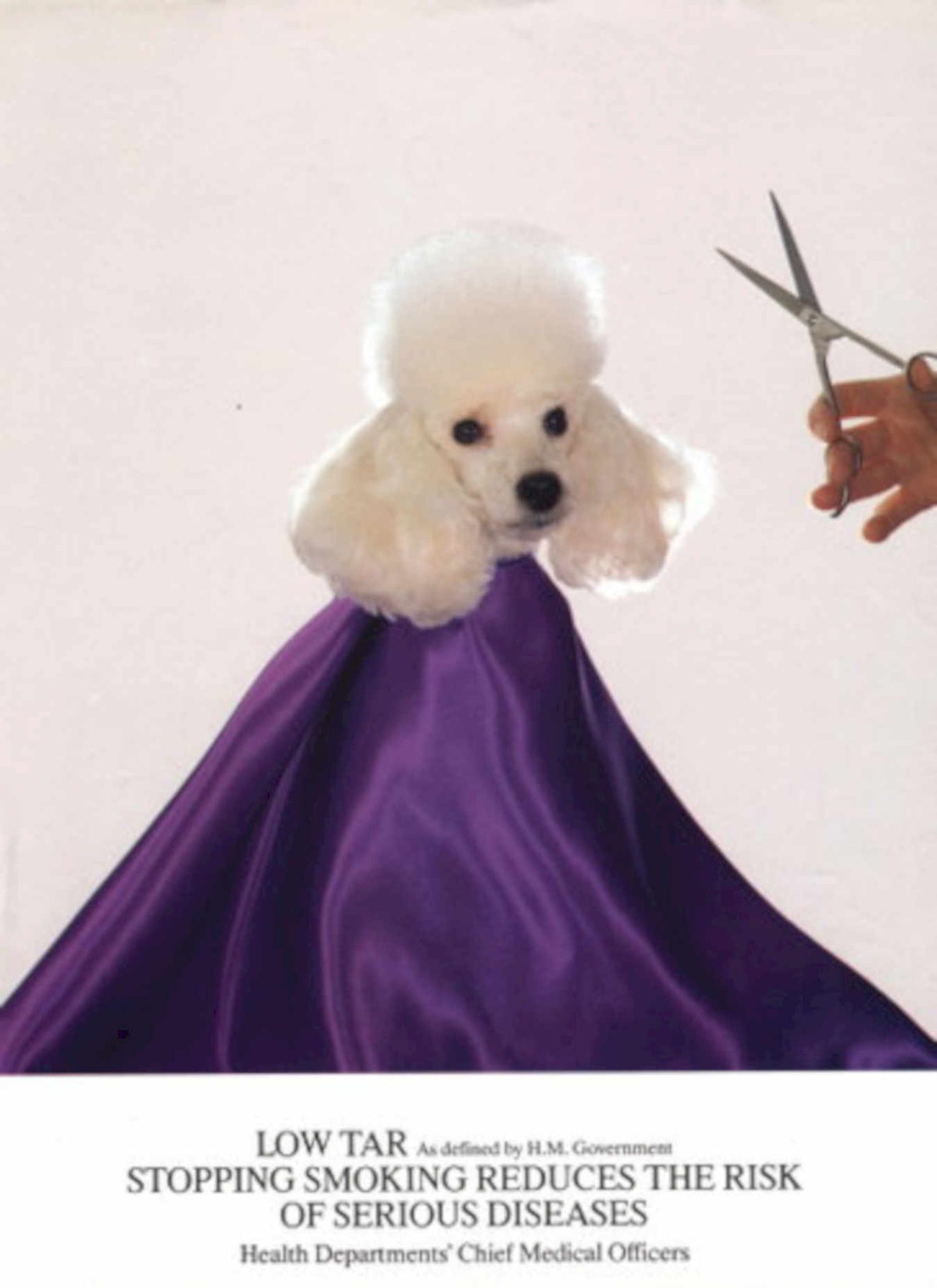 Poodle Grooming Studio 1990s Vintage Retro Advert