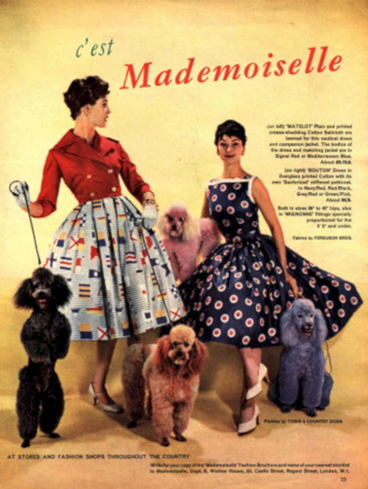 Poodles Fashion 1960s 1950s Vintage Retro Advert Poster