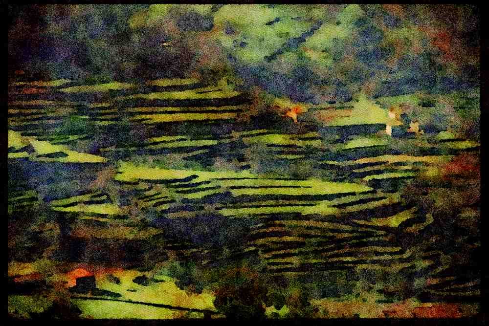Portugal Rural 256000 Terraced Fields, Douro Valley A4 Limited Edition Watercolour Print