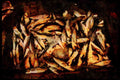 Portugal Rural 256022 Sardines From Nearby Atlantic A4 Limited Edition Watercolour Print