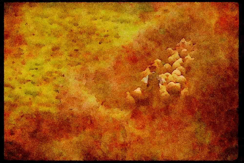 Portugal Rural 256045 Shepherd And His Flock A4 Limited Edition Watercolour Print