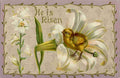 Postcard 1910 He is Risen Chick with lilies A4 Photo Print