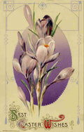 Postcard 1911 Best Easter Wishes with crocuses A4 Photo Print