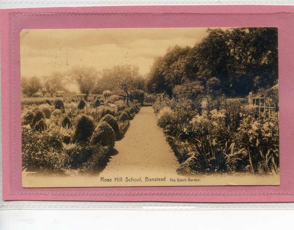 Postcard The Dutch Garden Rose Hill School Banstead Surrey Vintage A4 Photo Print