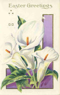 Postcard nd Easter Greetings with Lilies A4 Photo Print