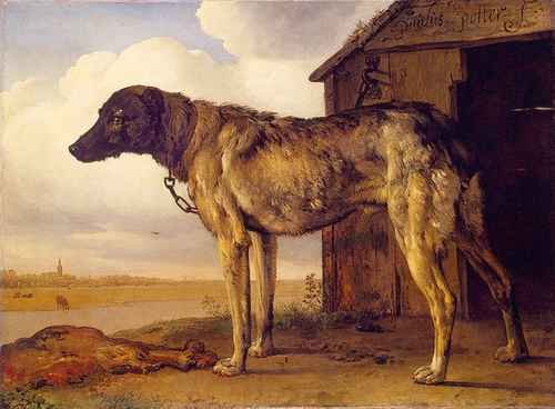Potter 50Hound A4 Photo Print