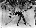 Powell Eleanor Born to Dance 2 film star poster A4 Photo Print
