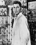 Power Jr Tyrone Black Rose The z13 film star poster A4 Photo Print