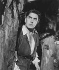 Power Jr Tyrone Black Rose The z4 film star poster A4 Photo Print
