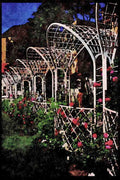 Prague Praha 248091 Franciscan Gardens A4 Limited Edition Watercolour Print