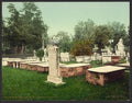Presidents row old Princeton burying ground Vintage A4 Photo Print