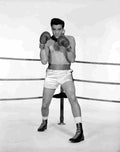 Presley Elvis Kid Galahad 1 film star poster A4 Photo Print