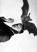 Price Vincent Bat The 1 A4 Photo Print