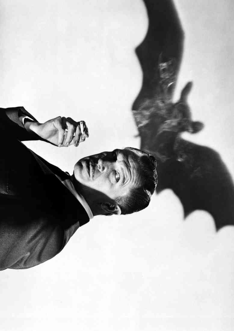 Price Vincent Bat The 1 A4 Photo Print