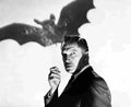 Price Vincent Bat The 1 film star poster A4 Photo Print