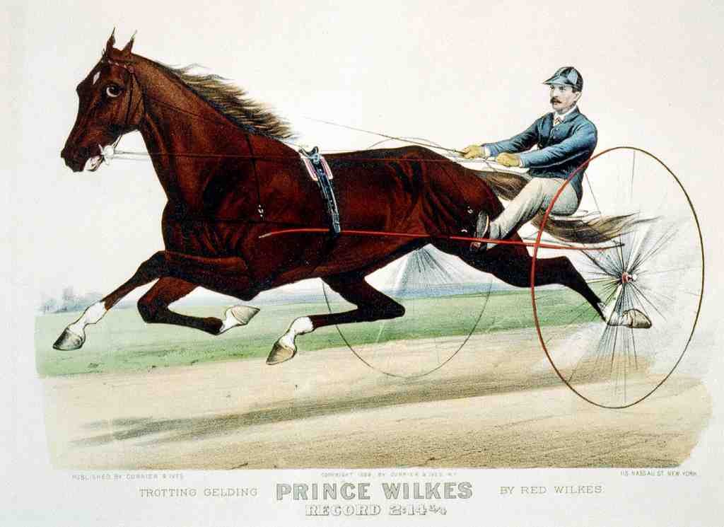 Prince Wilkes Horse 001 Vintage A4 Photo Print