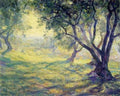 Provincial Olive Grove A4 Photo Print
