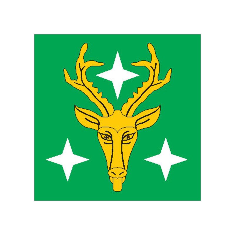 Puka Vald Flag N2440 A4 Photo Print
