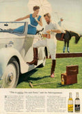 Pukka Gin Tonic 1950s Vintage Retro Advert Poster