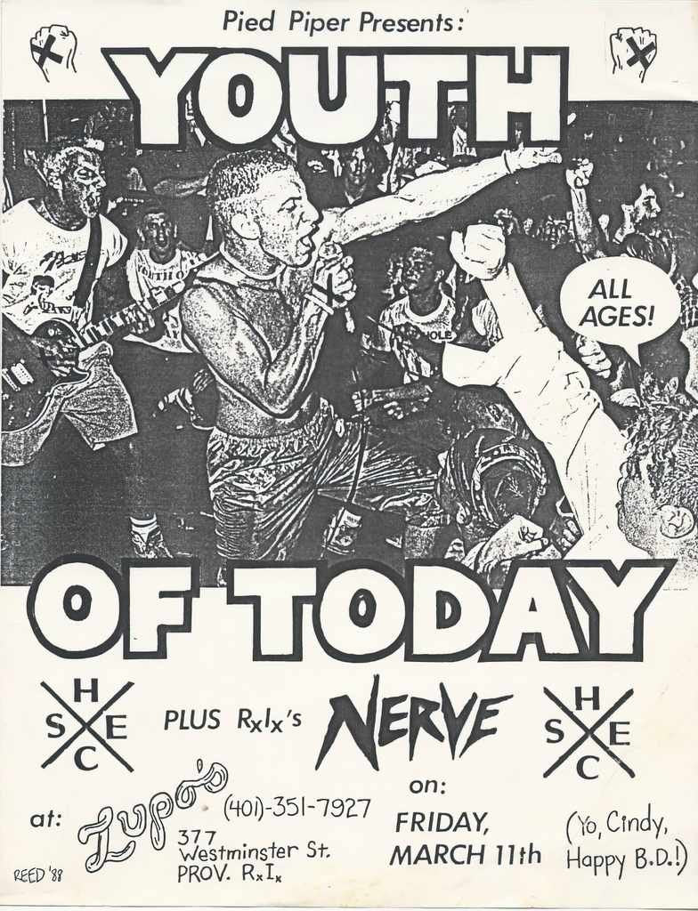 Punk Poster USA Flyer 33zys8wo3287 A4 Photo Print