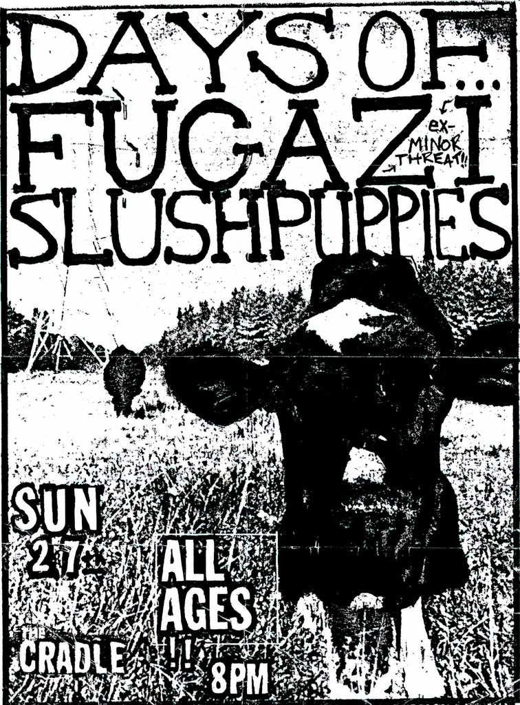 Punk Poster USA Flyer 37f783ia7 A4 Photo Print