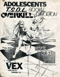 Punk Poster USA Flyer 3cs8dooe7 A4 Photo Print