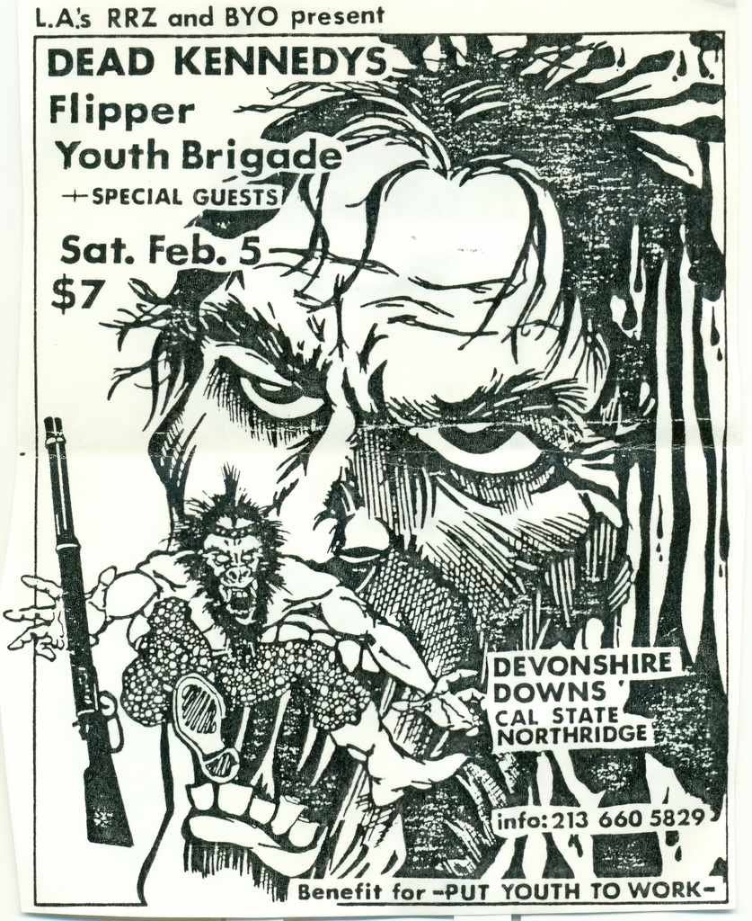 Punk Poster USA Flyer 3r5cv8fc7 A4 Photo Print
