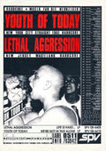 Punk Poster USA Flyer 3xfdy73k7 A4 Photo Print