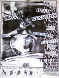 Punk Poster USA Flyer 83q62xi37 A4 Photo Print