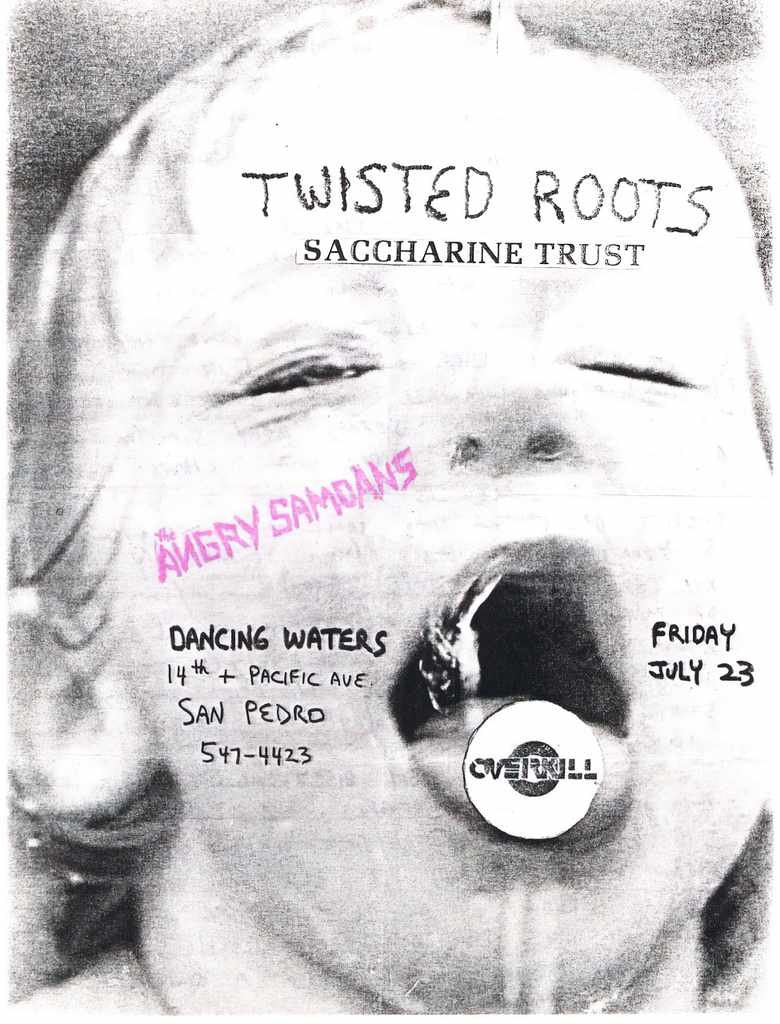 Punk Poster USA Flyer 83wk3gk37 A4 Photo Print