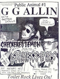 Punk Poster USA Flyer 8838r63q7 A4 Photo Print