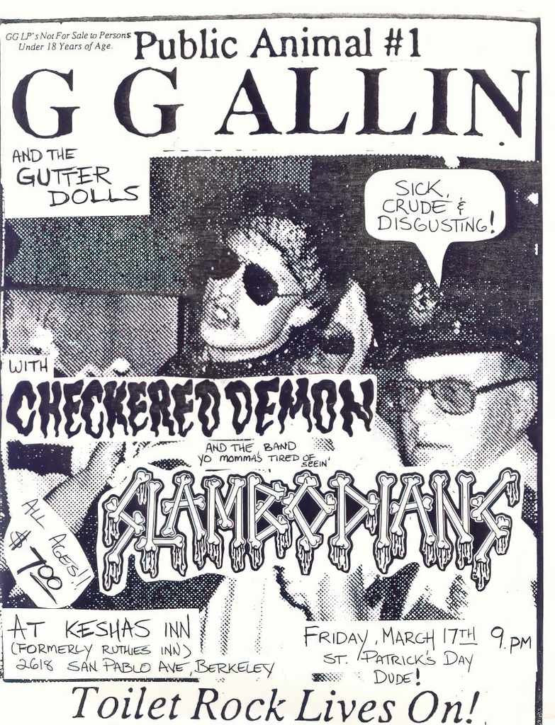 Punk Poster USA Flyer 8838r63q7 A4 Photo Print