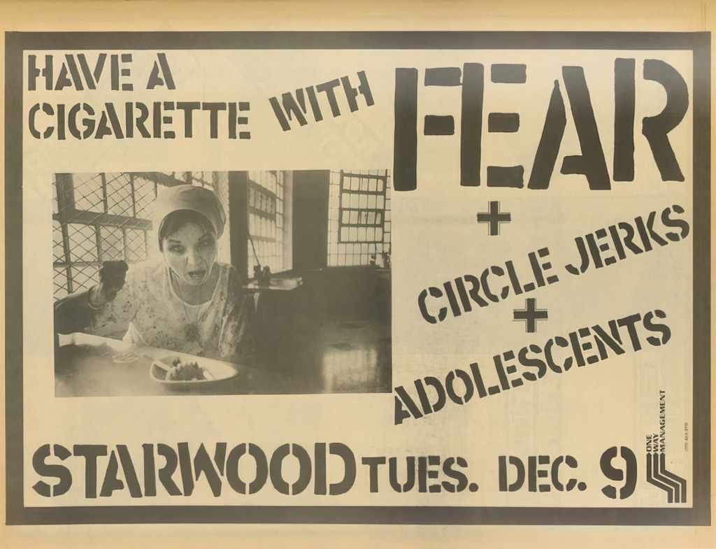 Punk Poster USA Flyer 8fiwcfg87 A4 Photo Print