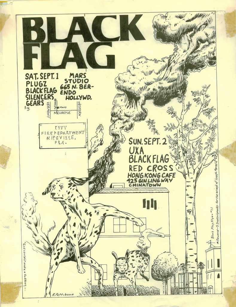 Punk Poster USA Flyer 8oz5fzo27 A4 Photo Print