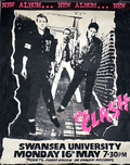 Punk Poster USA Flyer 8pgr3sye7.png