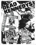 Punk Poster USA Flyer 8sayf2k33287 A4 Photo Print