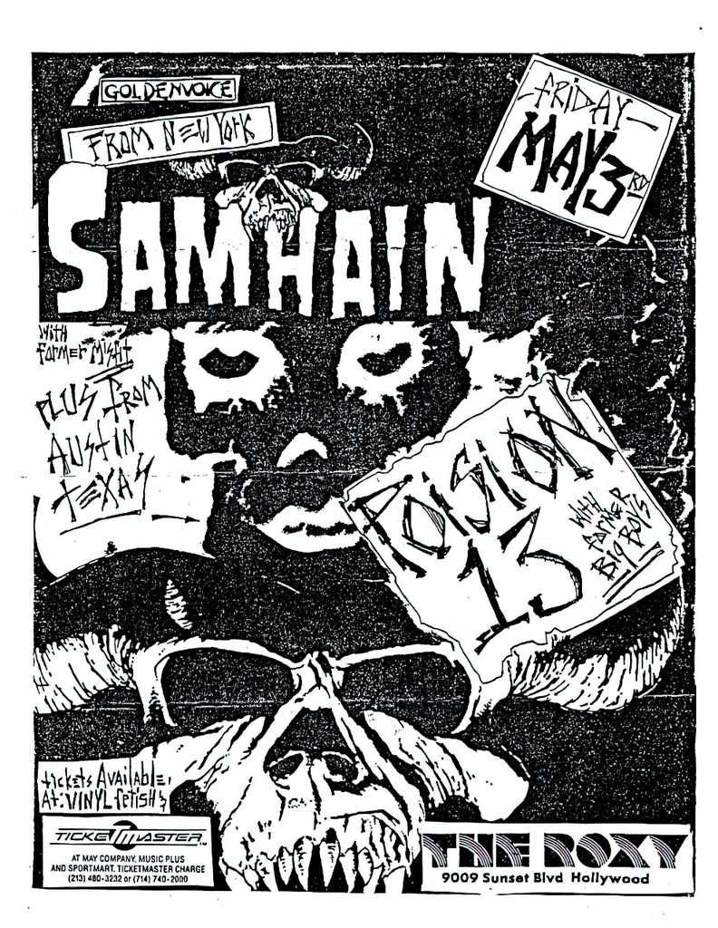 Punk Poster USA Flyer 8t8h83887 A4 Photo Print