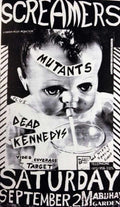 Punk Poster USA Flyer 8wc3fdb33287 A4 Photo Print
