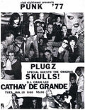 Punk Poster USA Flyer 8xs23k337 A4 Photo Print