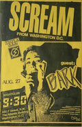 Punk Poster USA Flyer 8y53ehcs7 A4 Photo Print